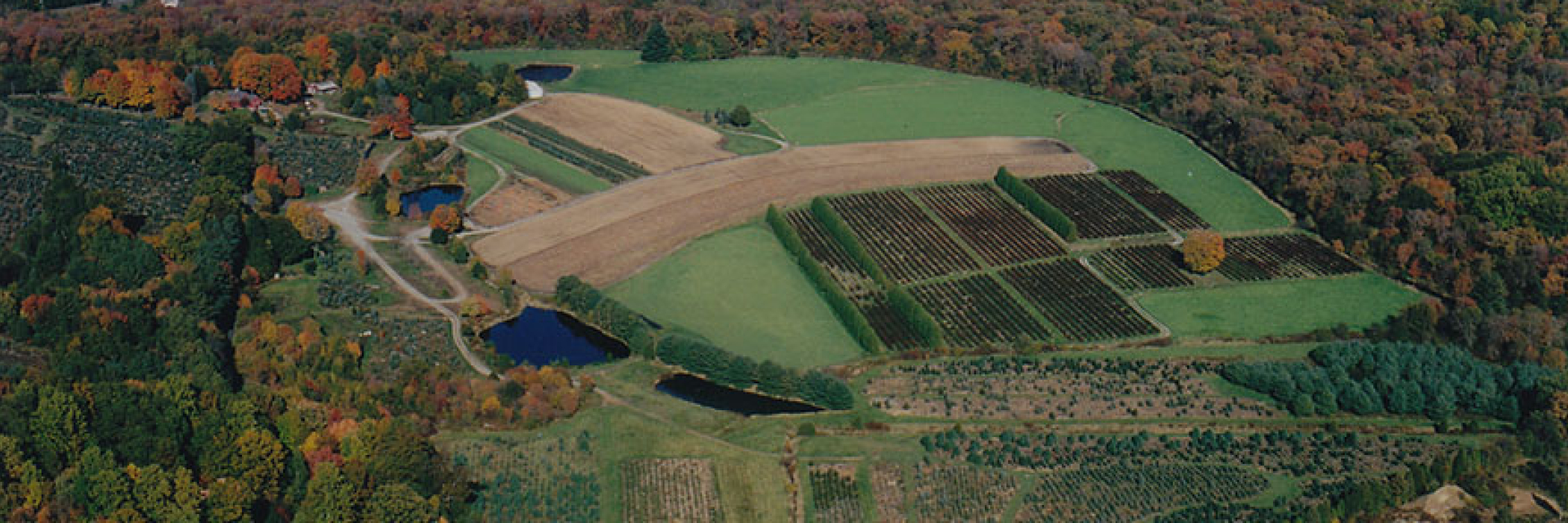 drone photo of valley farm