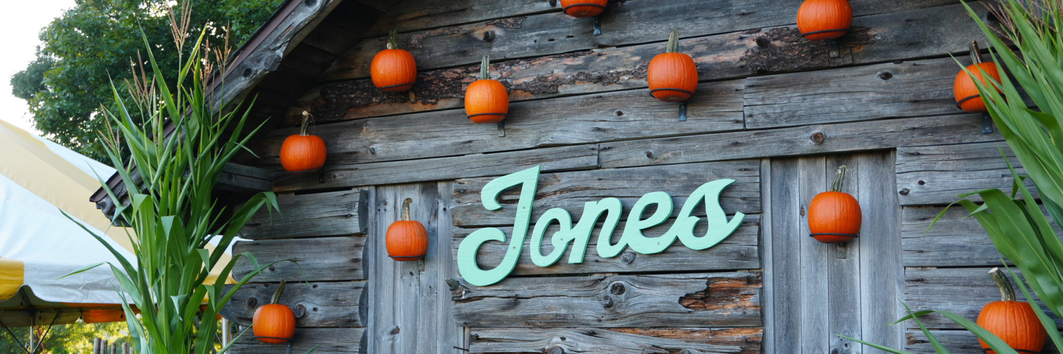 Pumpkin Wall Photo Op 