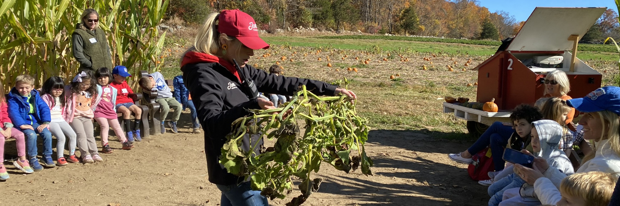 educator showing a pumpkin vine