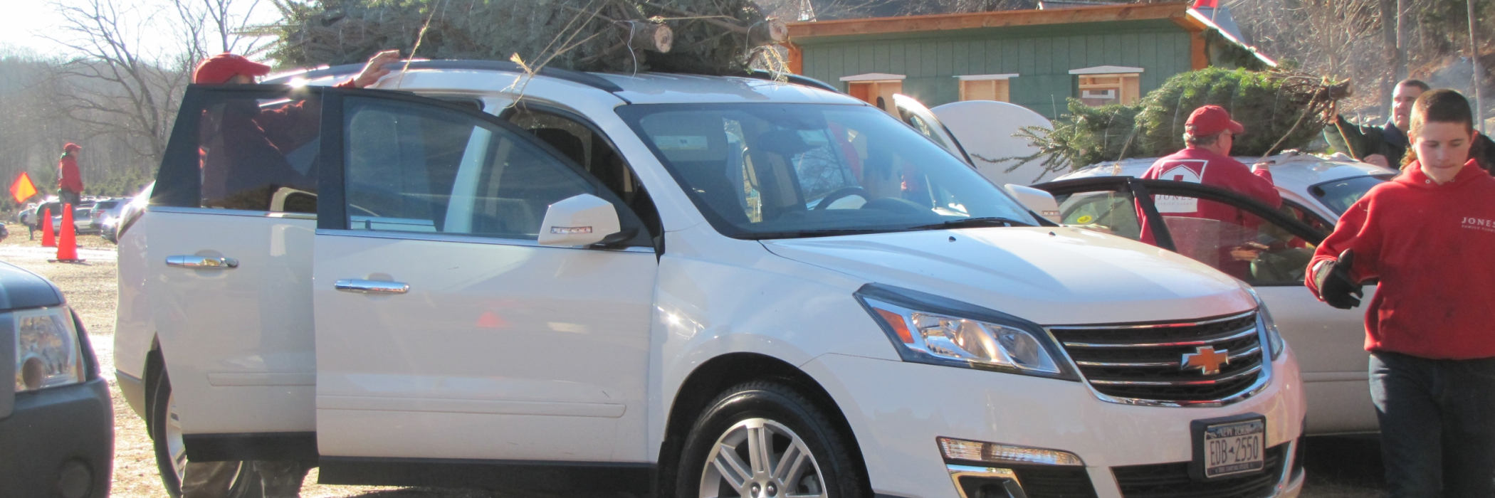 Tying a tree to a car roof
