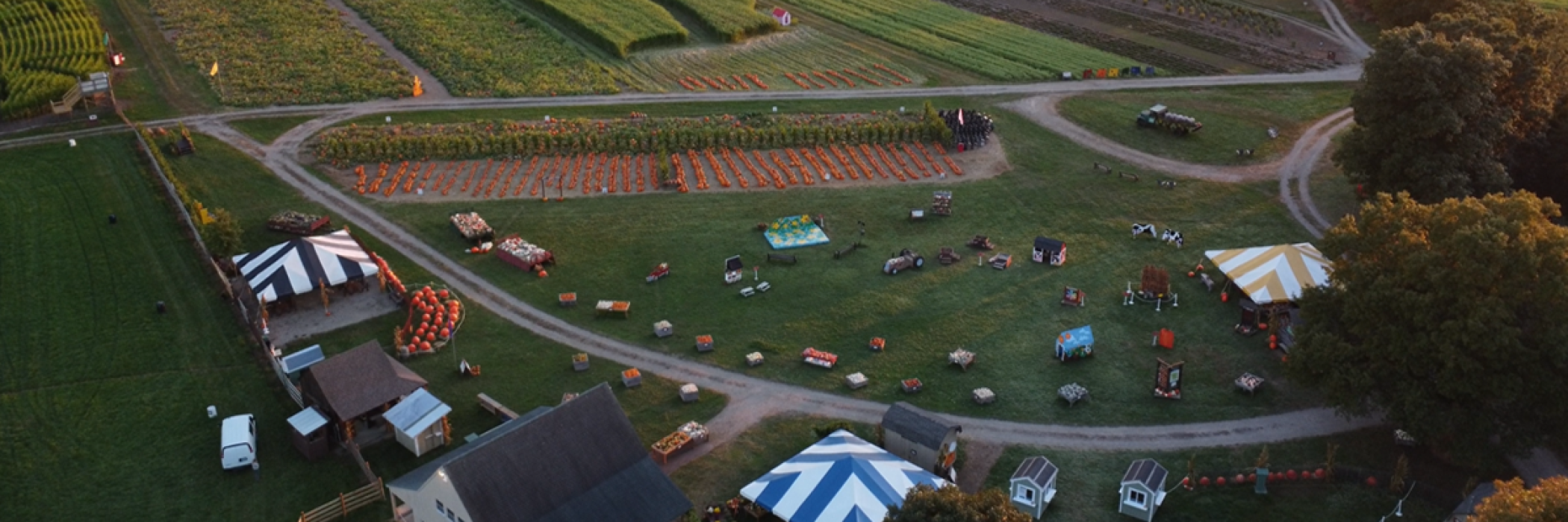 pumpkinseed hill