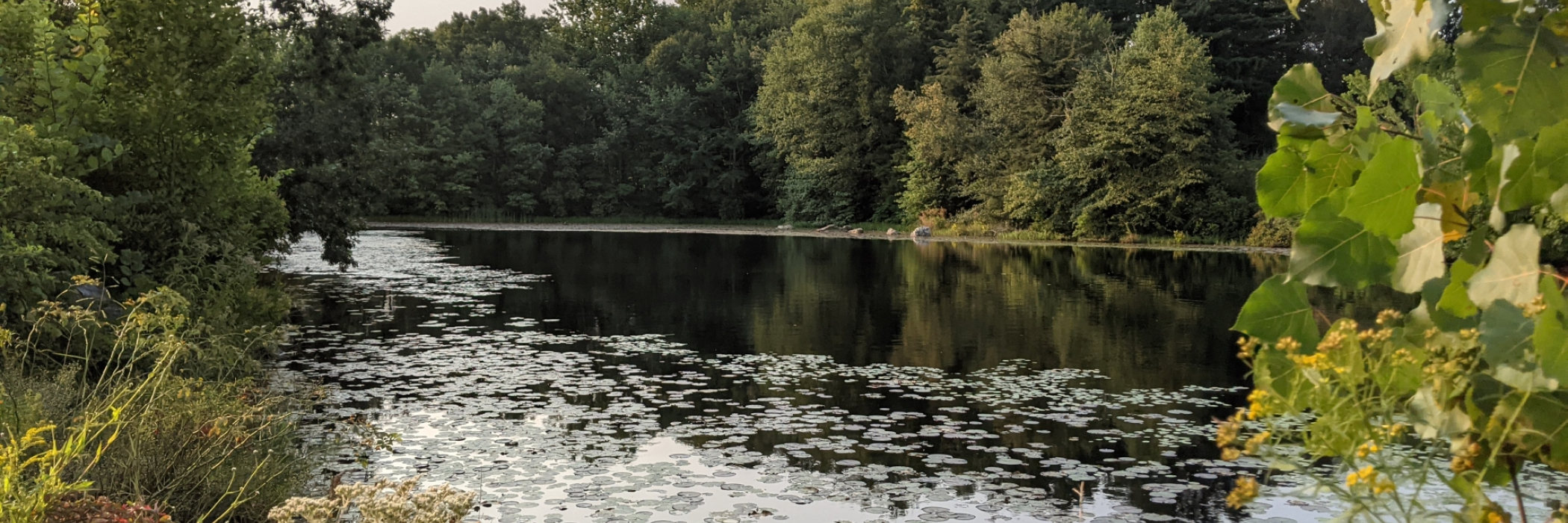 Pond at the Homestead Farm