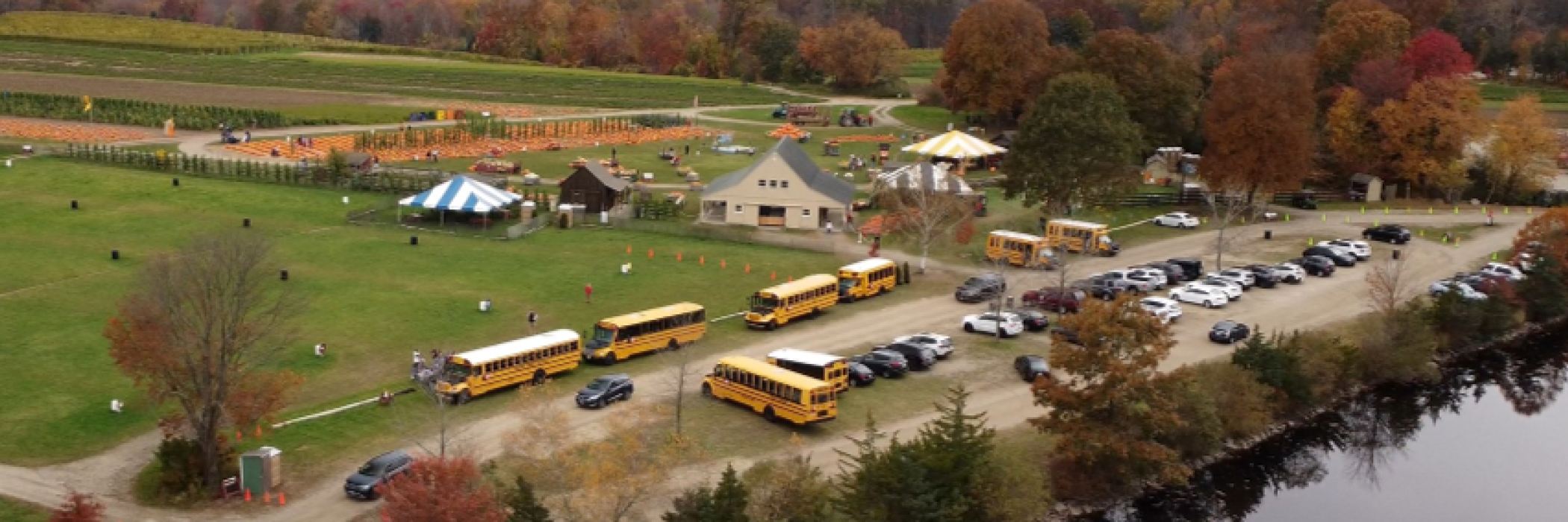 school buses at Pumpkinseed Hill