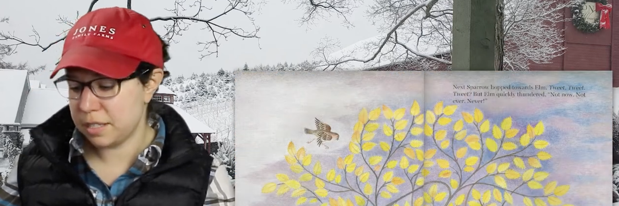 Folklore, Trees, Cherokee Indians, Kindness, Sparrows, Pine