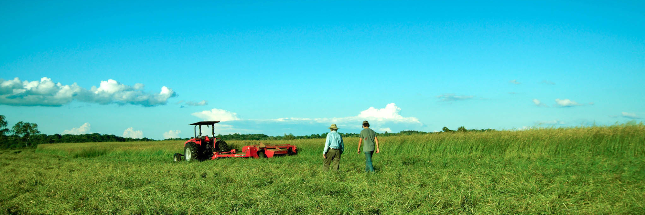 tractor in field in spring