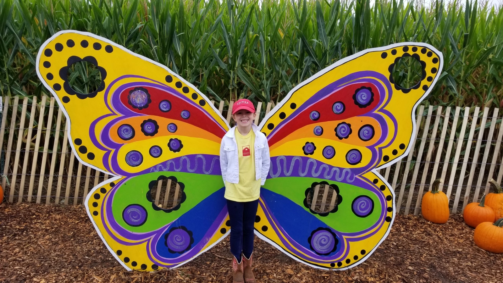 Child at the center of a colorful butterfly photo op