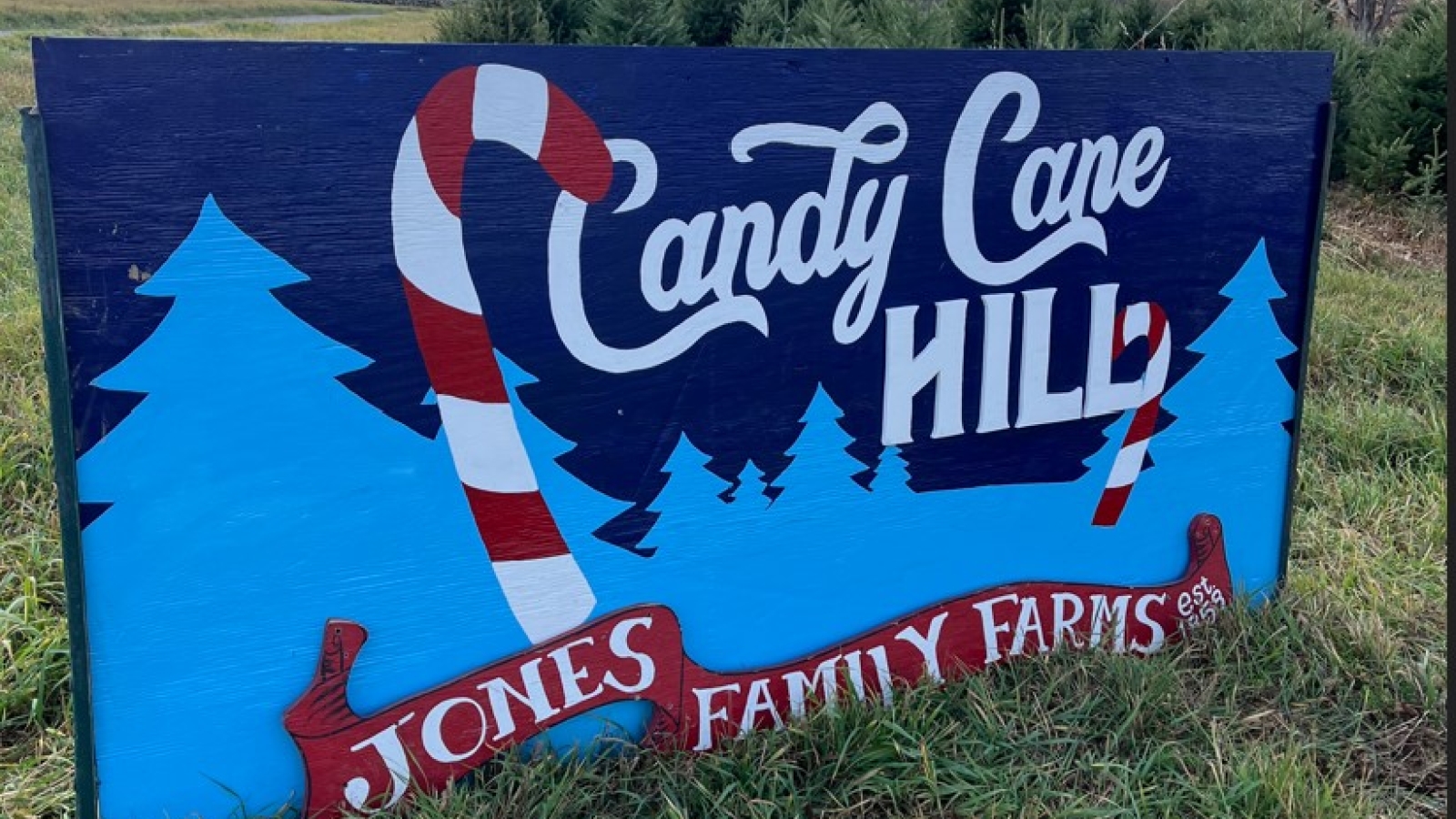 Candy Cane Hill