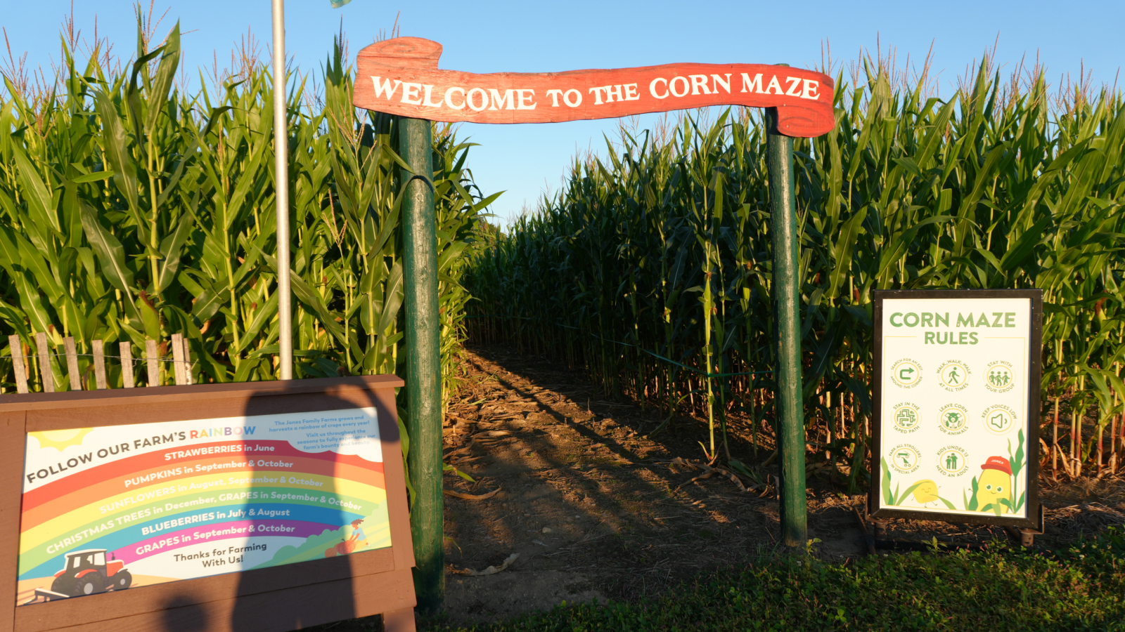 Corn Maze Entrance 