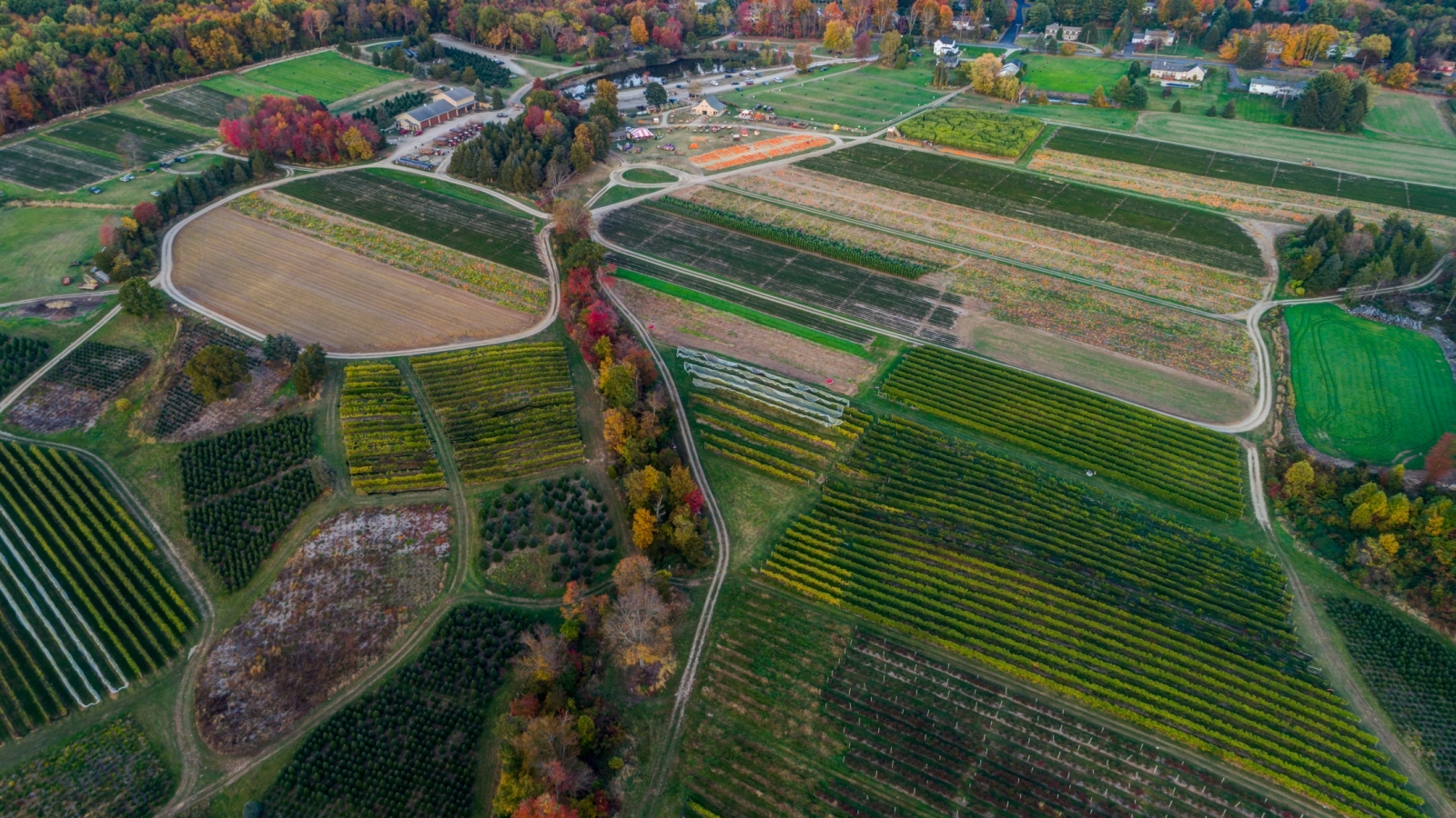 Pumpkinseed Hill farm aerial view of its beautiful fields