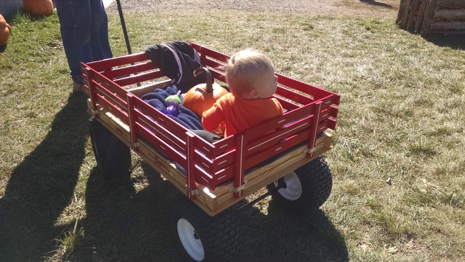 Wagon with child and pumpkin