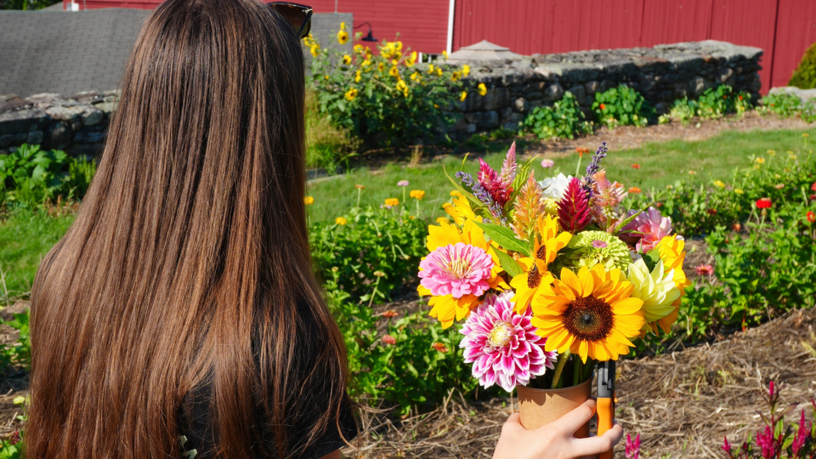 Juliet Harvesting Flowers