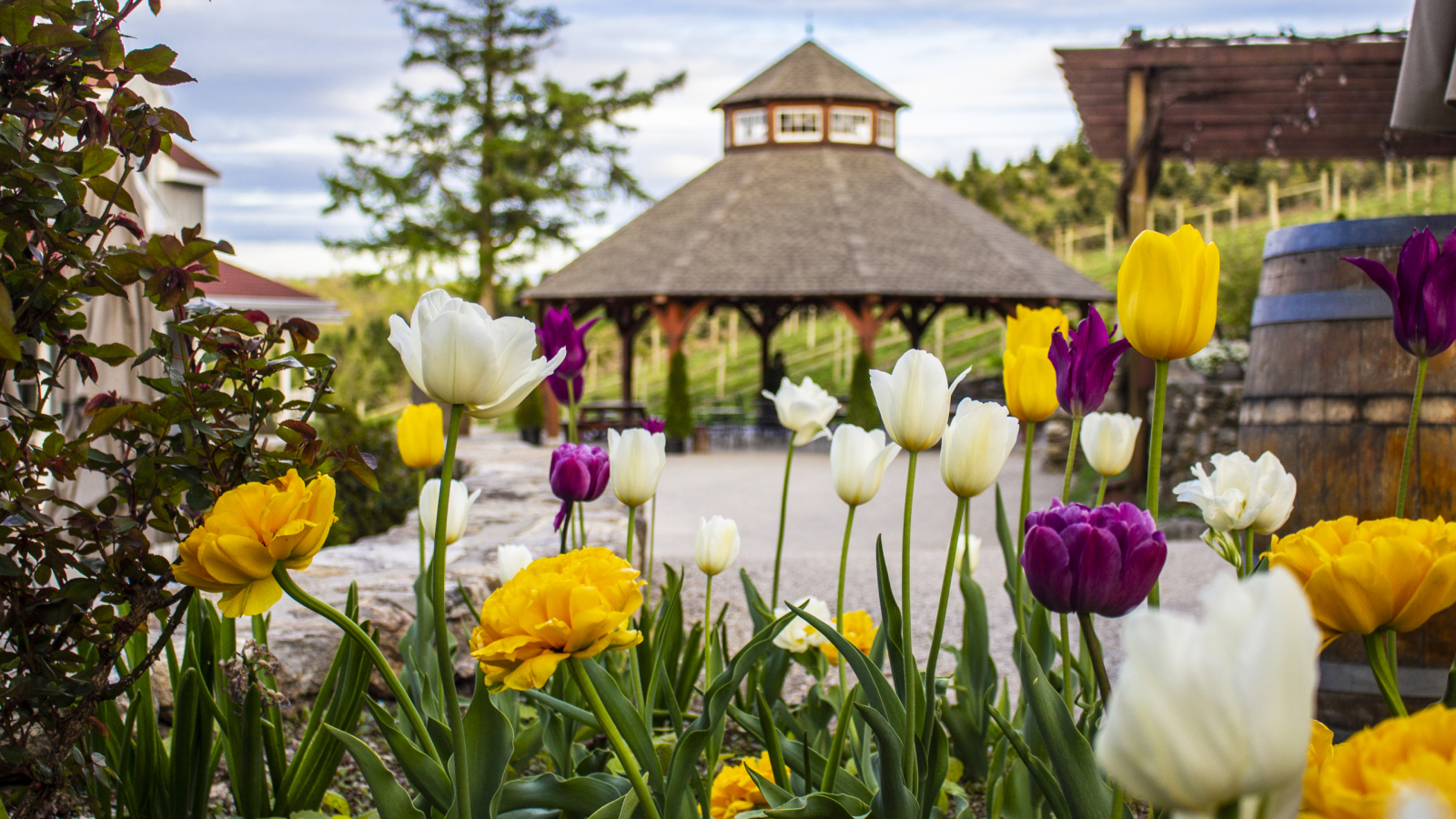 Flowers In Front of the Gazebo