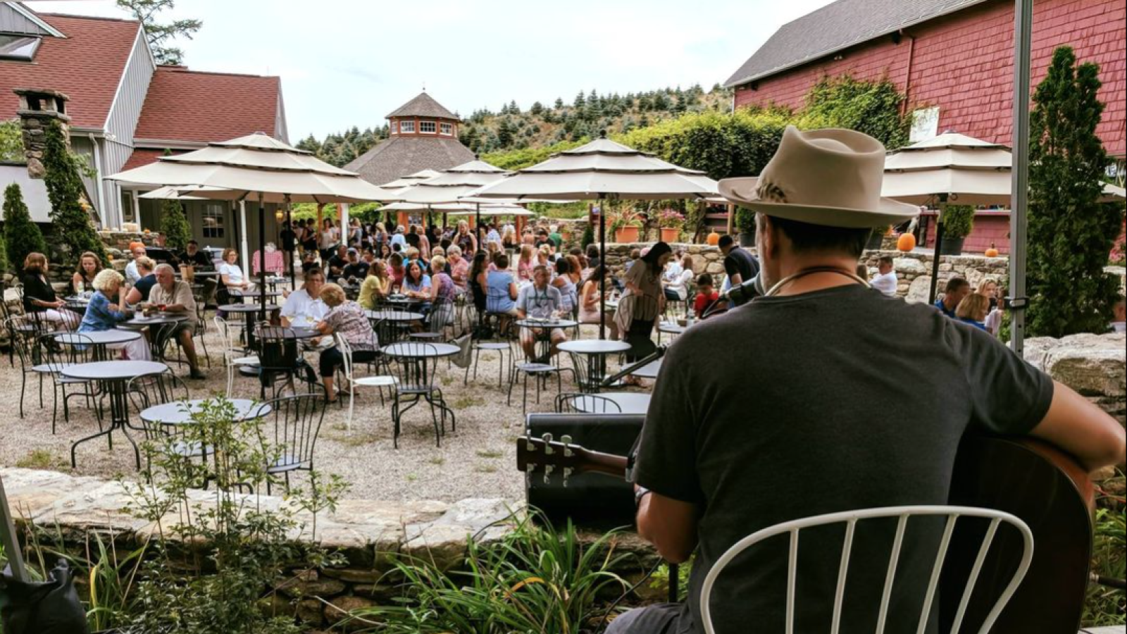 Artist on stage facing Jones Winery Summer Music Series crowd