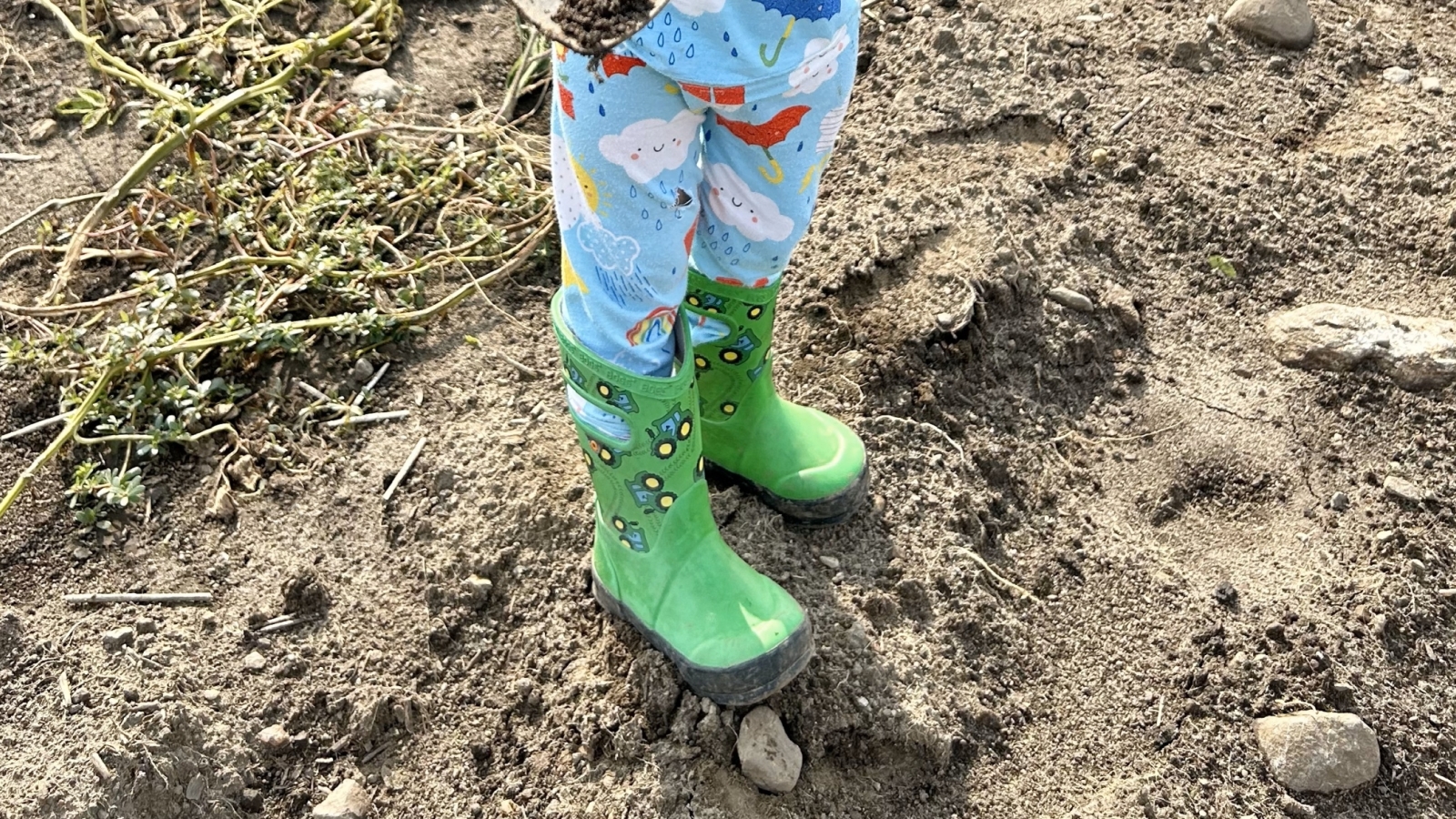 Tractor rainboots at the farm