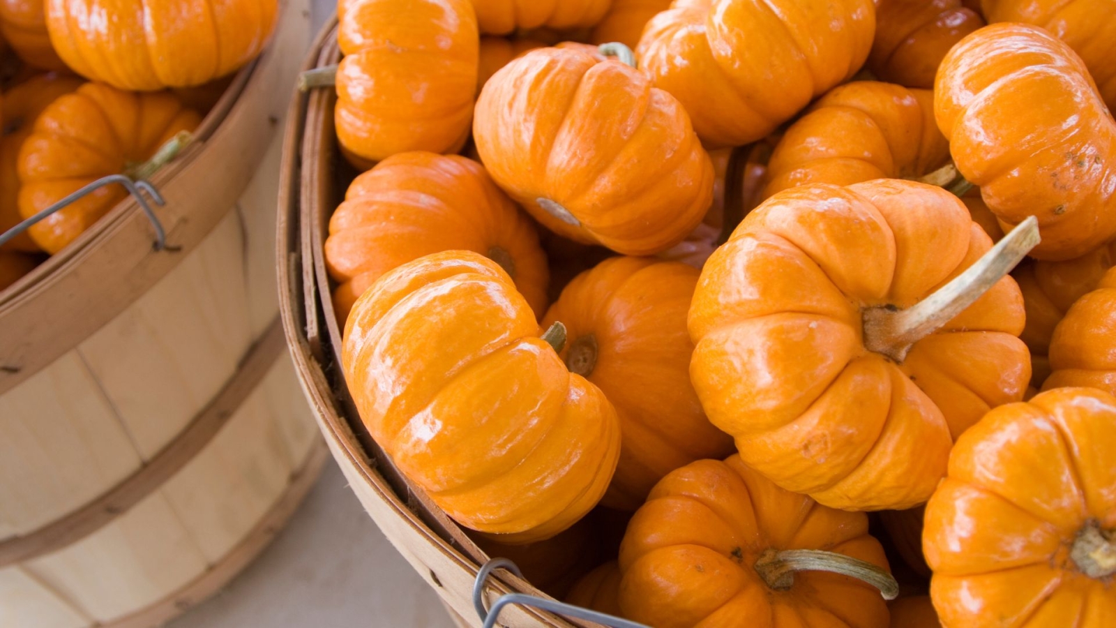 a bowl of Jack-Be-Little Pumpkin Pies on the table