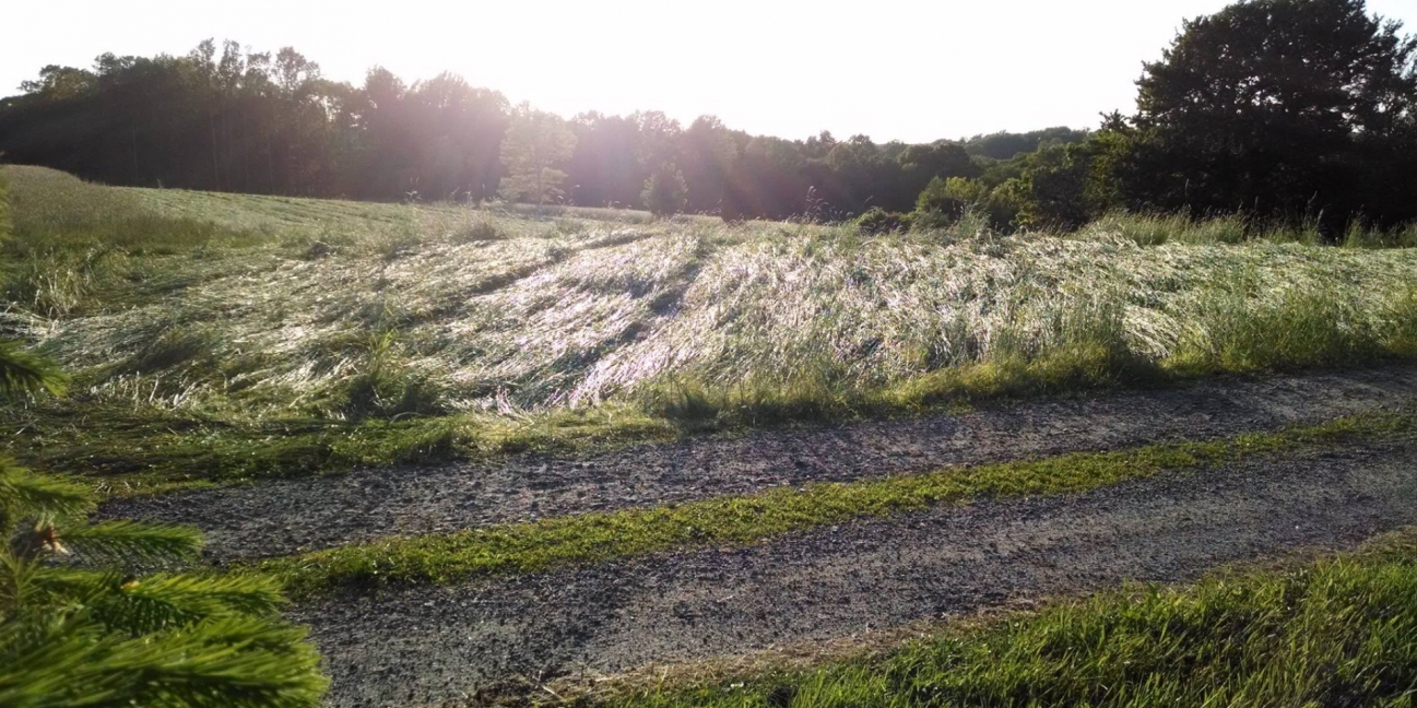 the farm as the sun is setting