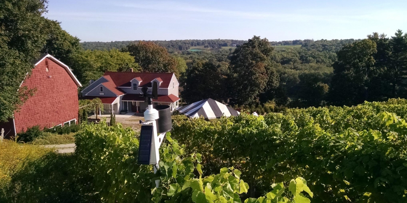 a view of the barn from the top of the hill