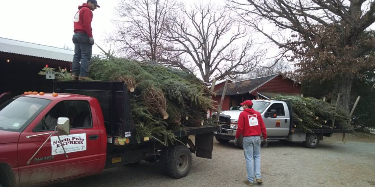 jones-family-farms-fresh-cut-trees