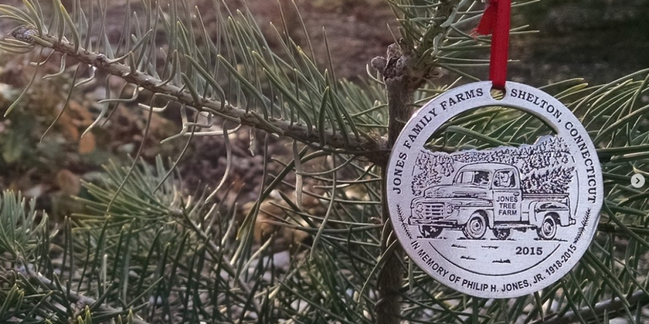 2015 ornament hanging on a Christmas tree