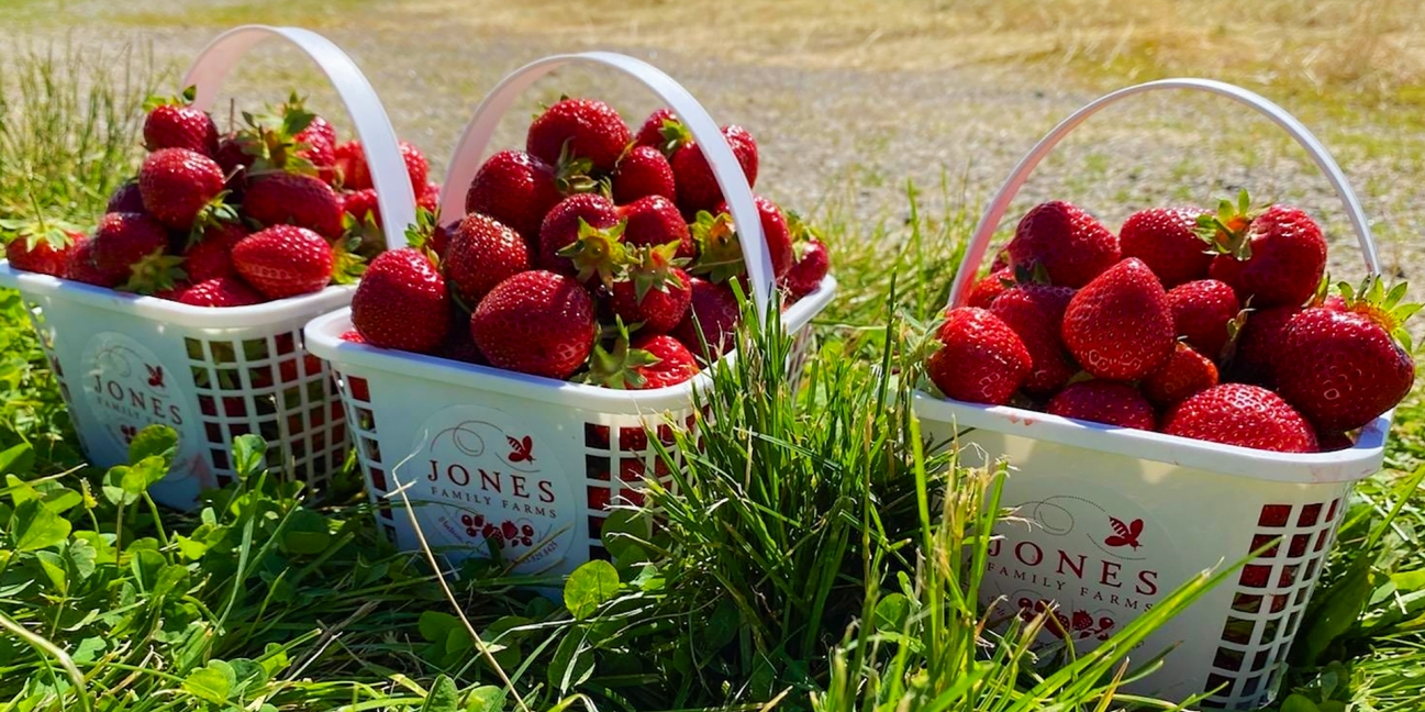 3 strawberry baskets in a field