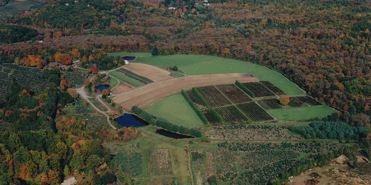 drone photo of valley farm