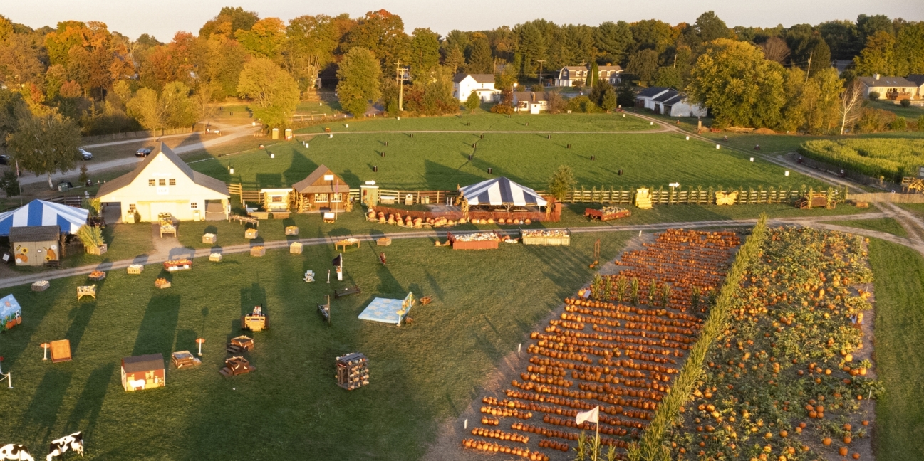 Pumpkin Farmyard near sunset