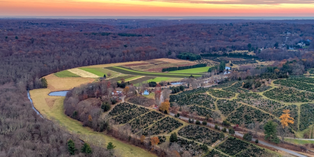 Aerial overview the tree fields of the East Slope of the Valley Farm at Jones Family Farms
