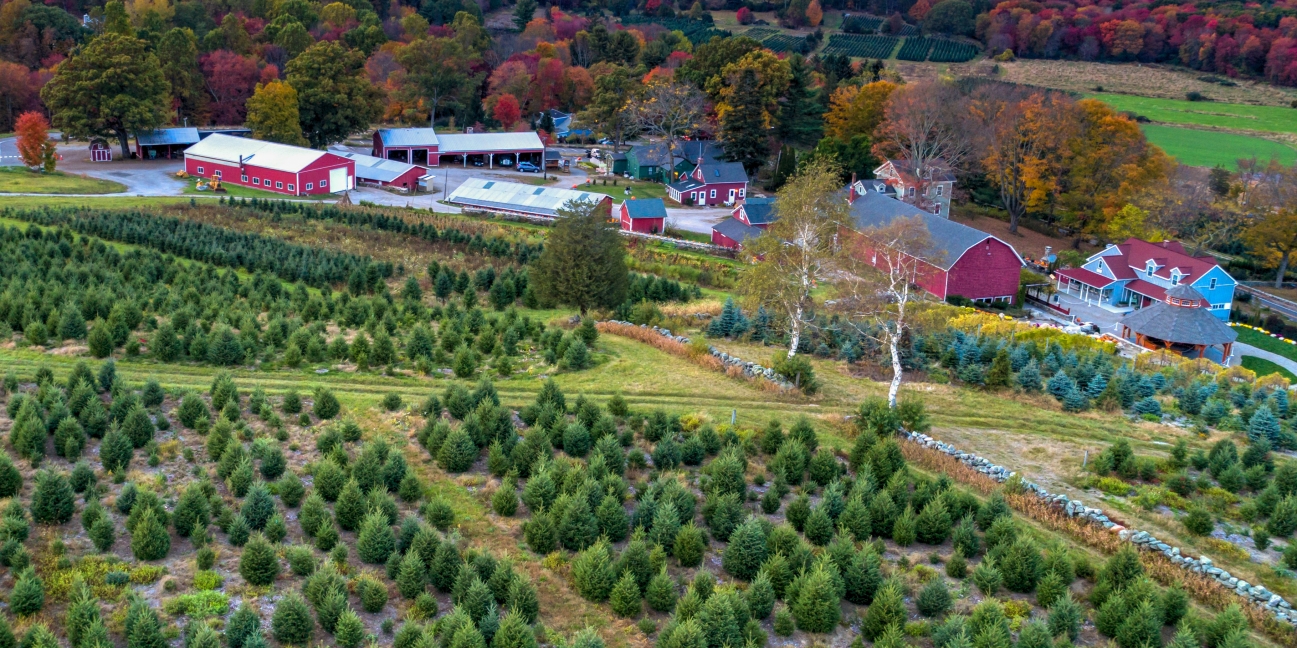 Jones Family Farm from the air