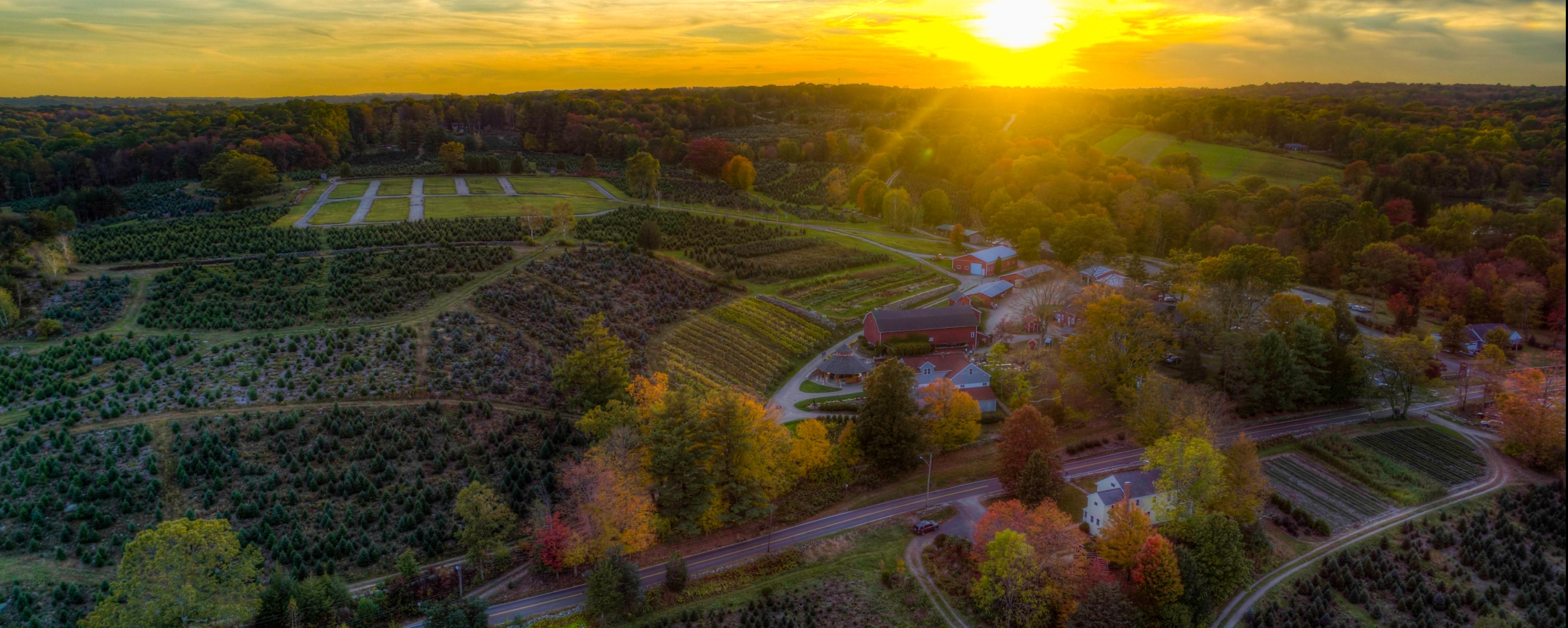 Fall drone over Jones winery at sunset