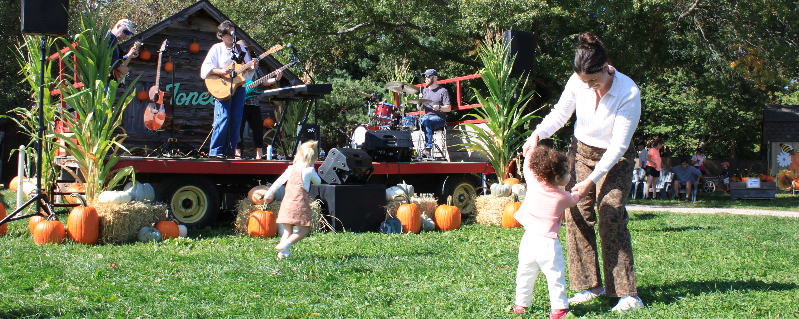 Guests dancing to live music 