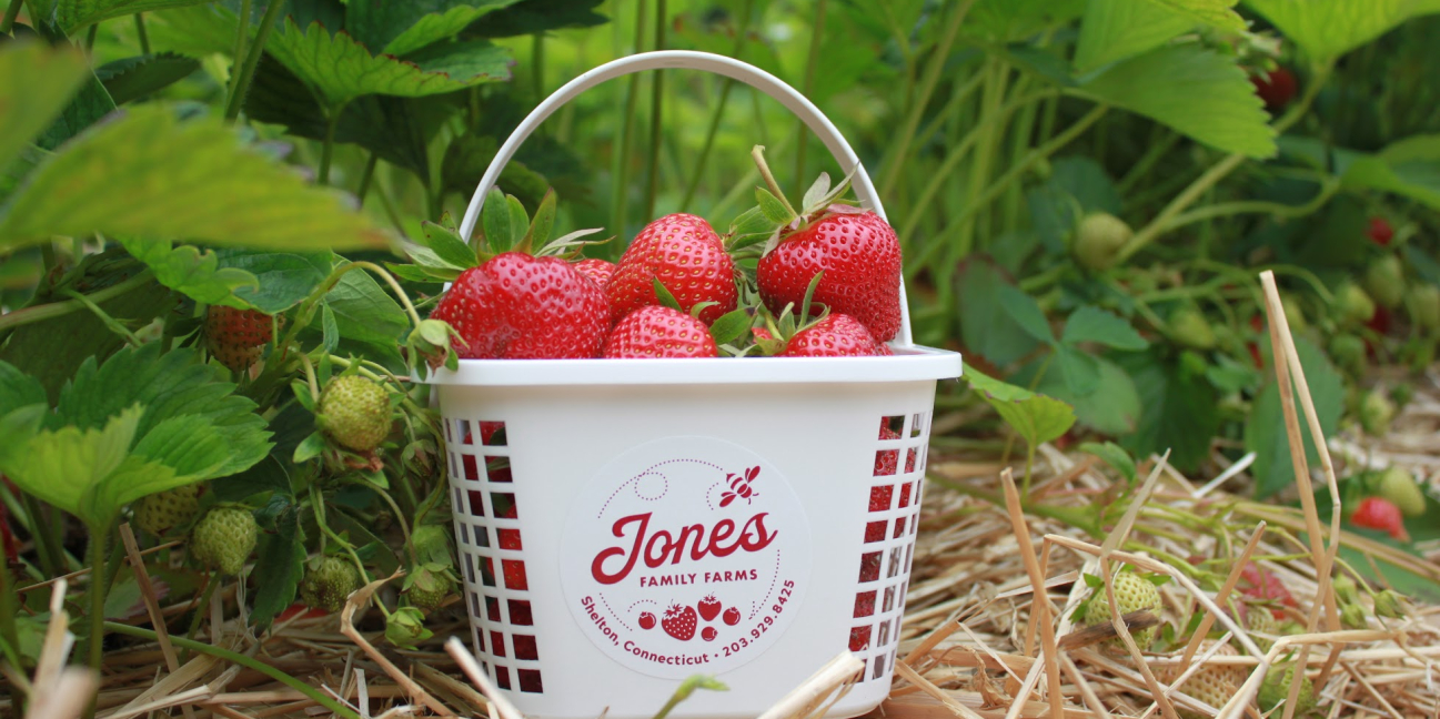 Jones basket with strawberries 