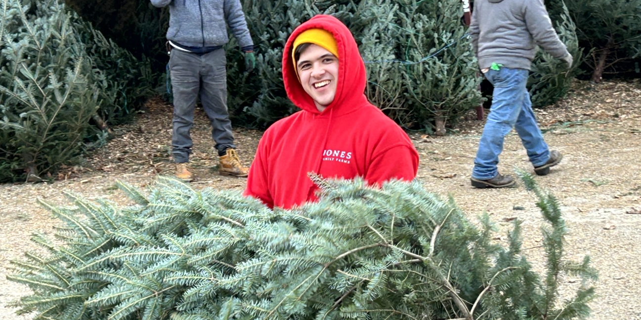 Jones farmer helping to carry a tree