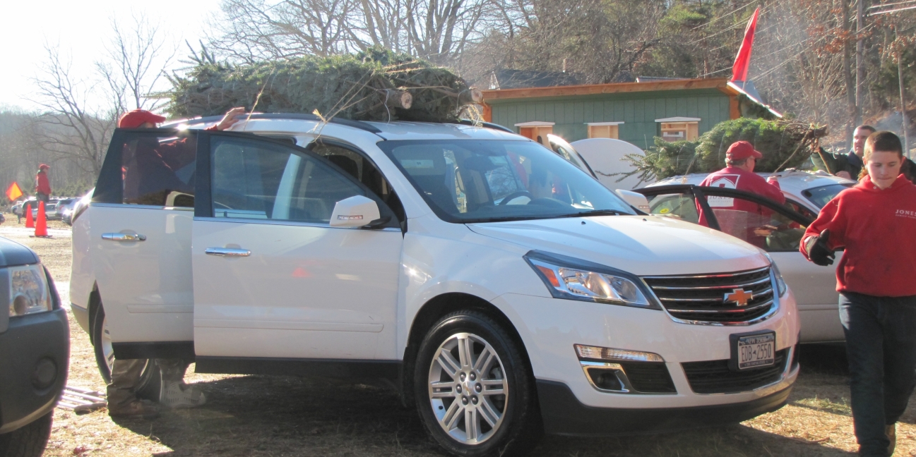 Tying a tree to a car roof