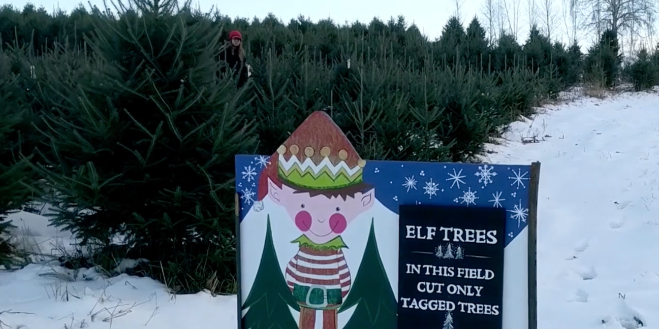 Elf tree sign and designated area