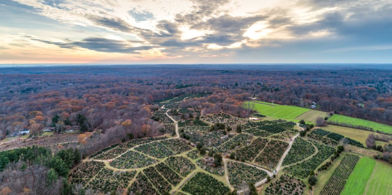 farm from the air