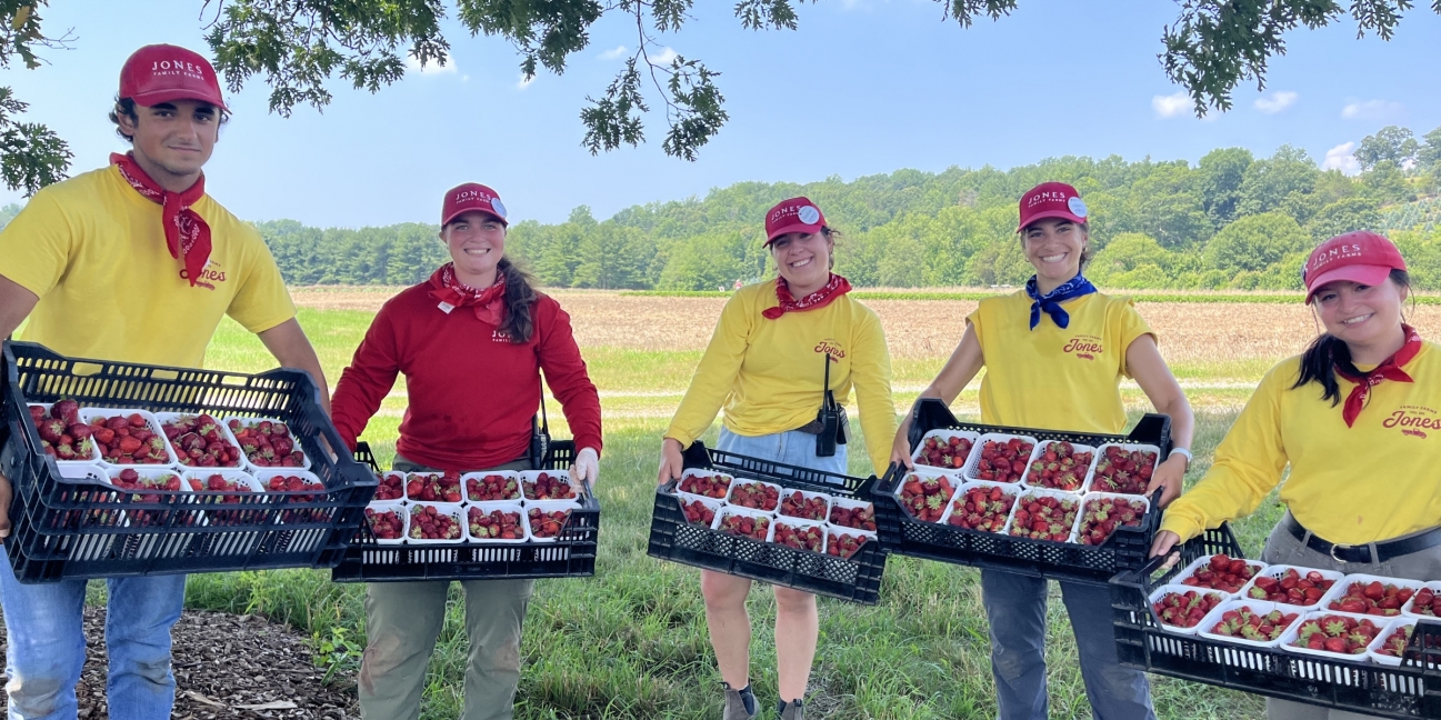 the crew at work in the fields