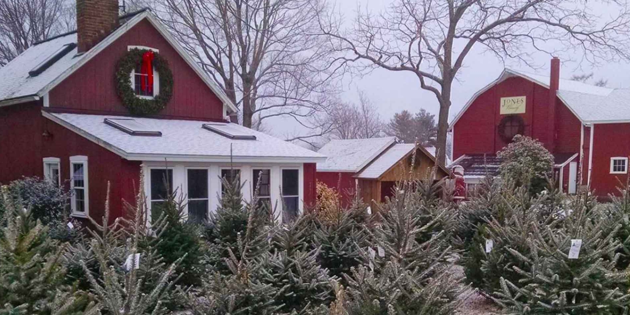 jones-family-farms-christmas-barnyard-shops