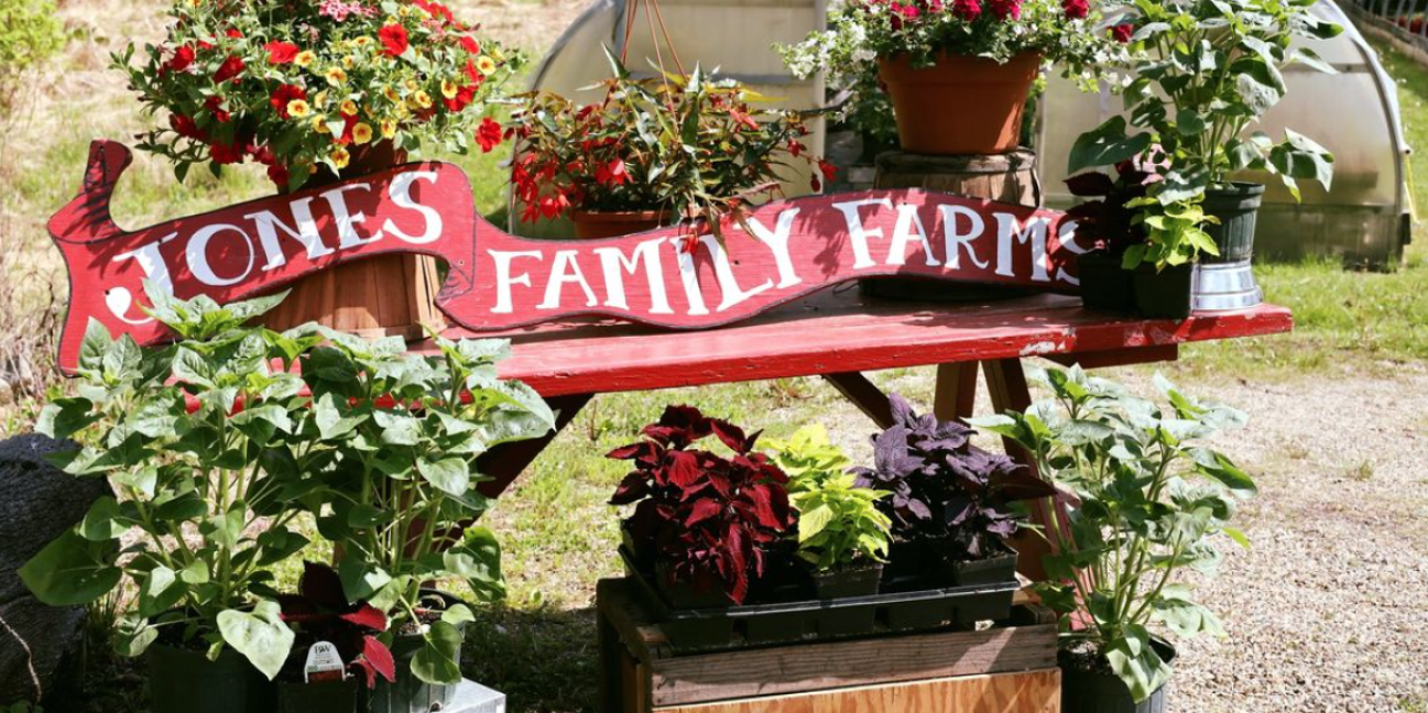 Jones Family Farm Mother's Day plant display