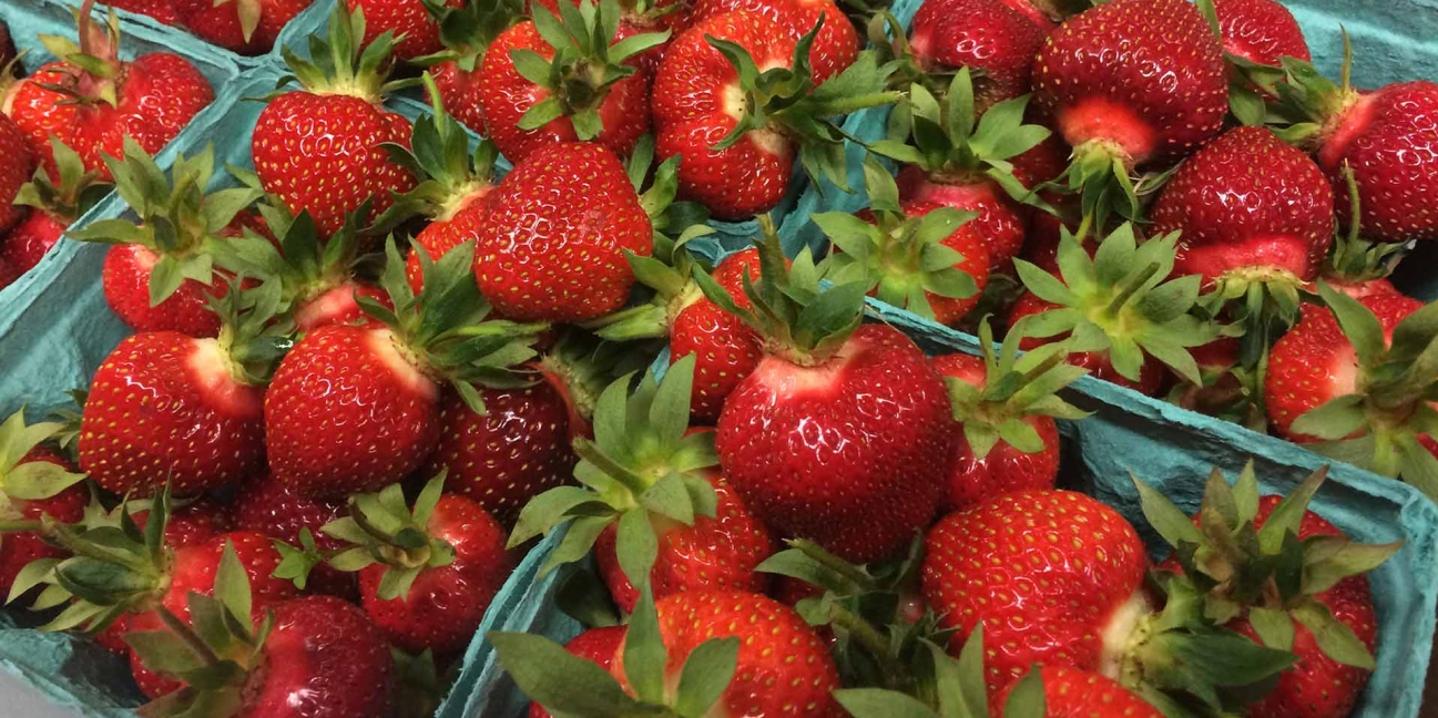 jones-family-farms-strawberries