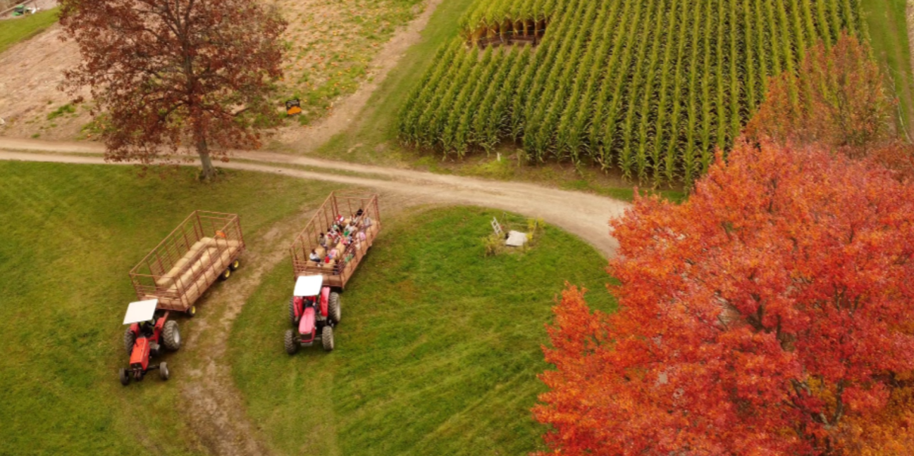 overhead two tractors pulling students