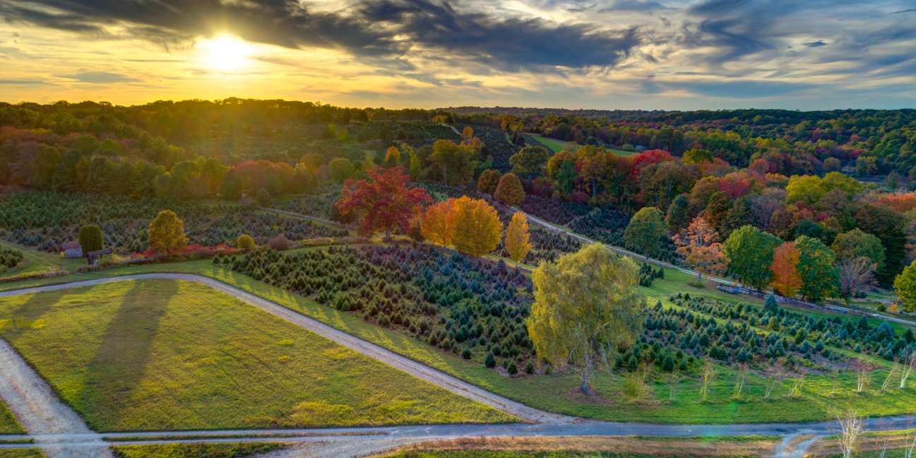 Sunset over Jones as seen from the sky
