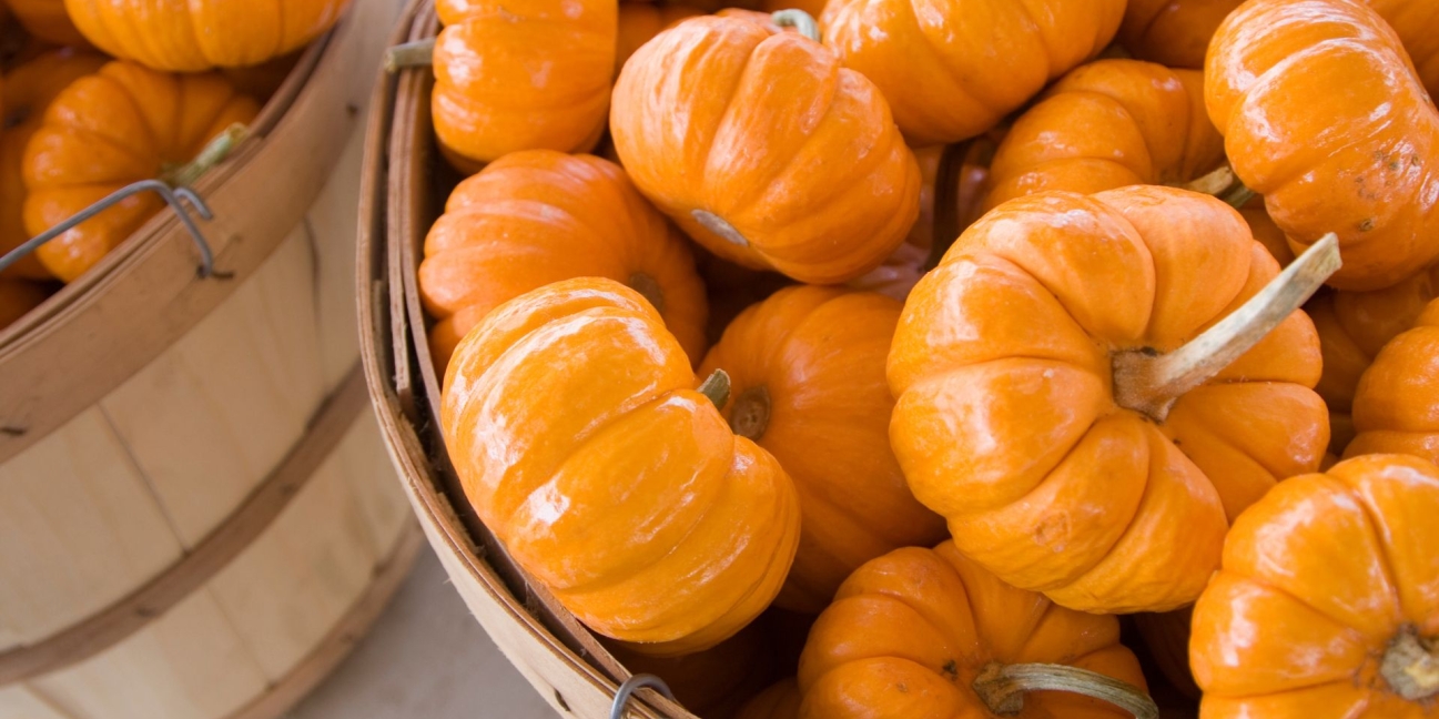 a bowl of Jack-Be-Little Pumpkin Pies on the table