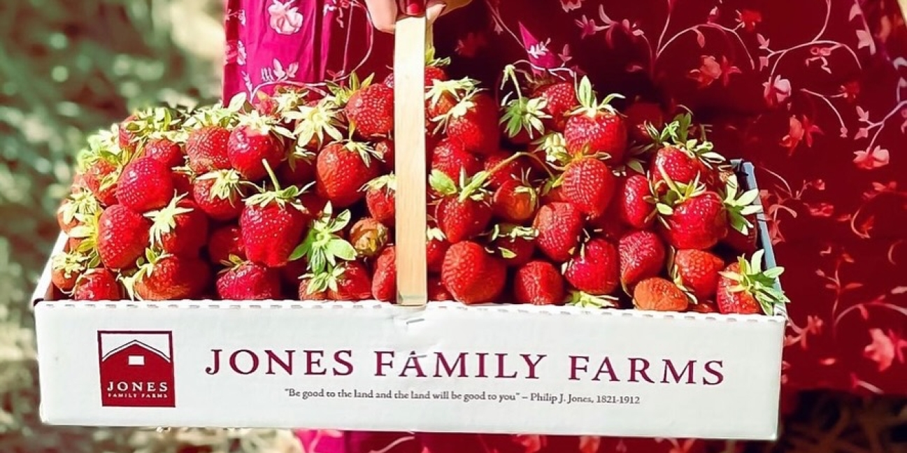 women holding a basket of JFF strawberries