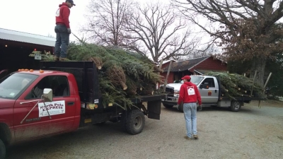 jones-family-farms-fresh-cut-trees