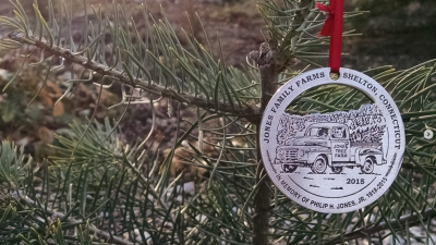 2015 ornament hanging on a Christmas tree