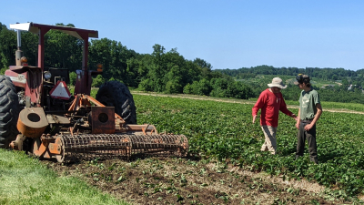 Jamie and Sam Jones working in the fields at Pumpkinseed Hill