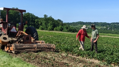 Jamie and Sam Jones working in the fields at Pumpkinseed Hill