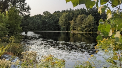 Pond at the Homestead Farm