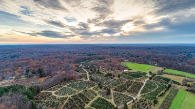 farm from the air