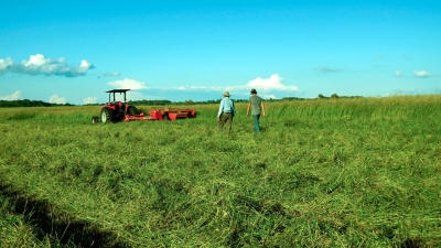 tractor in field in spring